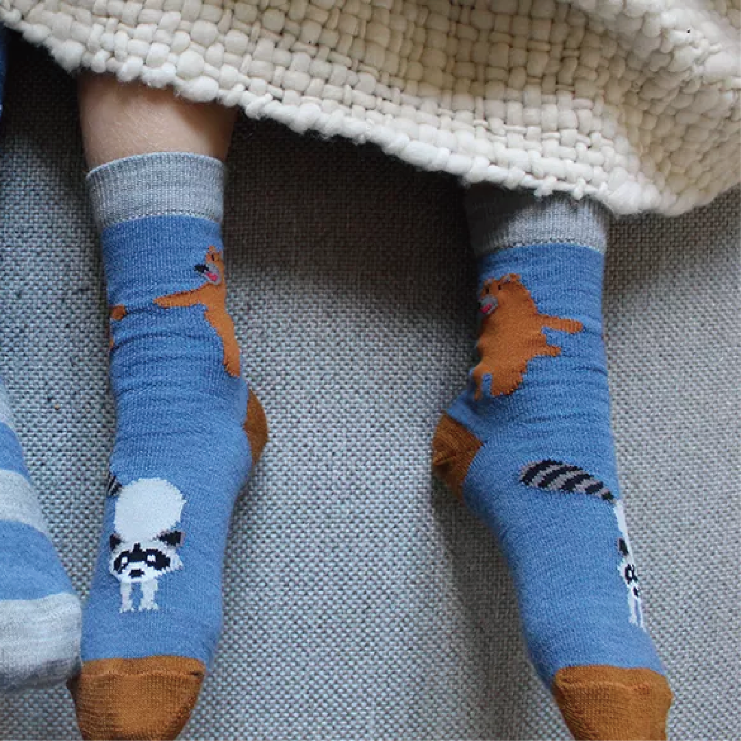 Raccoon -kids merino wool socks
